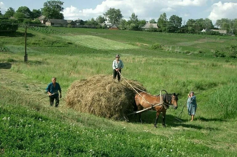Двойных: Средства на развитие села выделят эффективно осваивающим их регионам