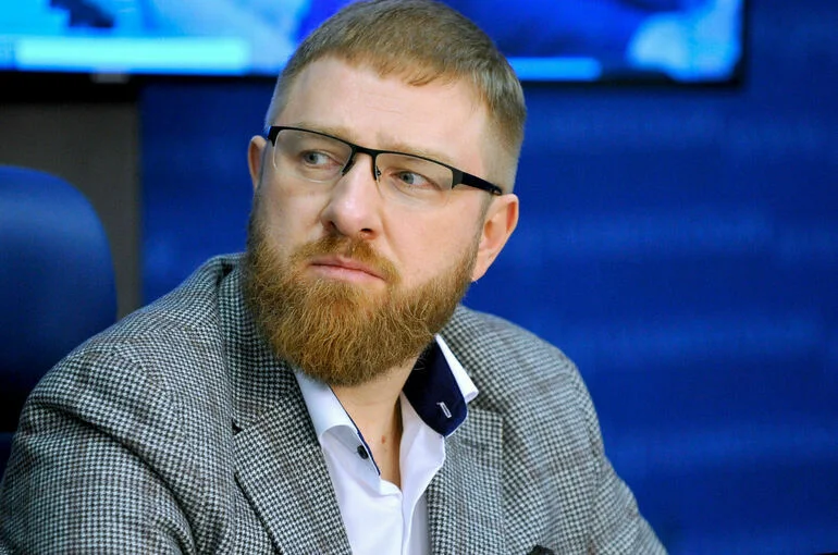В Общественной палате РФ считают, что Киев паникует из-за нехватки оружия