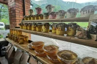 В законодательстве уточнят понятие «продукция пчеловодства»