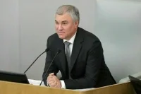 Володин поздравил работников налоговых органов с профессиональным праздником