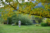 Границы природных территорий предложили изменять по новым правилам