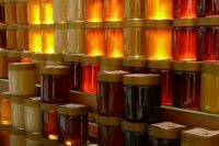 Росстандарту поручили дать определение меду