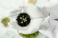 Биологическим коллекциям выдадут «охранную грамоту»