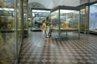 В Самарской области предложили продлить нацпроект «Культура»