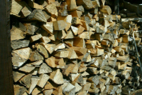 Генпрокуратура проверит сведения о росте цен на дрова