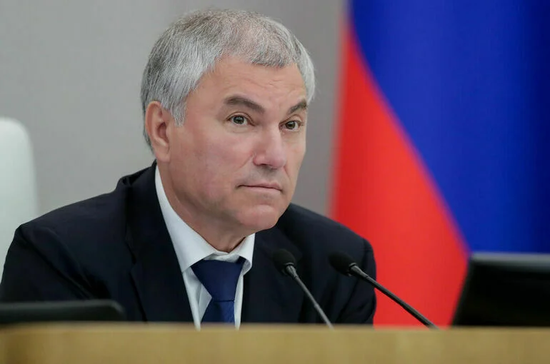 Володин: Молодежные организации партий нужно вовлекать в повестку развития страны