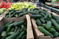 В России за неделю подорожали огурцы и яйца