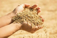 Что и почему нельзя вывозить из России