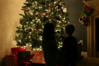 В Роспотребнадзоре открыли горячую линию по вопросам выбора новогодних подарков