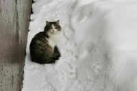 В Москве на следующей неделе ударят 20-градусные морозы