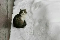 В Москве на следующей неделе ударят 20-градусные морозы