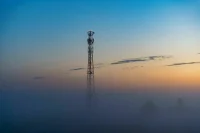 В России проведут исследования по влиянию 5G на живые организмы