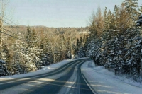 Для лесных дорог напишут четкие правила