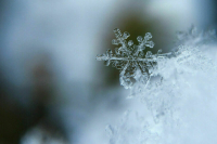 Жителей Курганской области предупредили о 40-градусных морозах