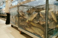 Ветеринарии и рыболовству в новых регионах хотят дать переходный период