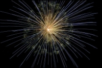 В Сочи отказались от запуска новогодних фейерверков