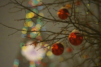 В МВД предупреждают о новой схеме мошенничества с билетами на елки