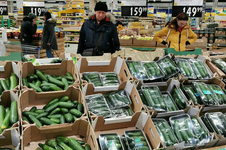 Огурцы за неделю в РФ в среднем подорожали более чем на 10%