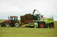 Выдавать гранты для кадрового резерва АПК могут начать в 2024 году