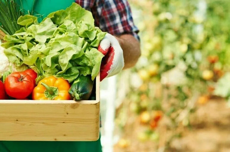 Продукция фермеров быстрее и наверняка дойдет до прилавков