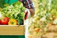 Продукция фермеров быстрее и наверняка дойдет до прилавков