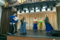 Средства на программу «Земский работник культуры» рекомендовали заложить в бюджете