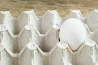 Путин пообещал снижение цен на яйца в России