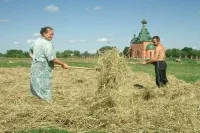 Для комплексного развития сельских территорий предложили создать нацпроект