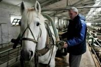 Конюхов и мельников заманят в деревню грантами