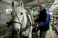 Конюхов и мельников заманят в деревню грантами