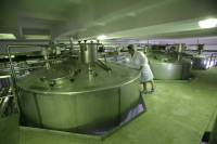 В Госдуму внесли законопроект об обязательном соответствии продукции стандартам