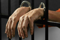 В Петербург доставили организовавшего нападения на прохожих блогера