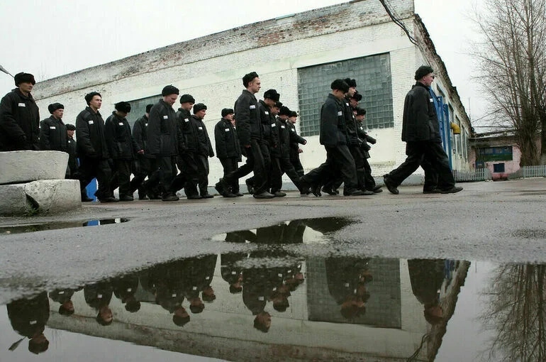 Заключенные смогут участвовать в арбитражных заседаниях по видеосвязи