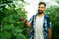 В России уточнят процедуру обеззараживания органической продукции