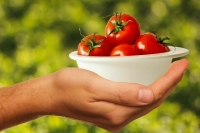 Органической продукции откроют дорогу к экспорту