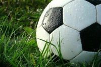 Совфед одобрил закон о развитии любительского спорта