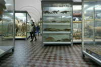 Защита музейных ценностей станет надежнее