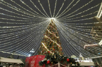 В предновогоднюю неделю москвичей ждет «мягкая зима»