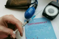 Академик Зверев рассказал, откуда могут появиться новые вирусы