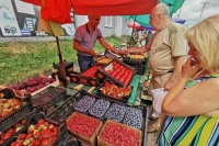 Депутаты предложили подстегнуть развитие сферы торговых палаток и ларьков