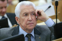 Владимир Васильев: Работа в Парламенте учит служить людям