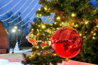 Вильфанд предупредил об одной из самых холодных новогодних ночей в Москве