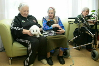 За Соцфондом предлагают закрепить создание центров общения для пожилых