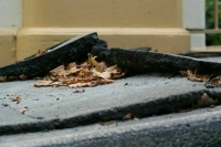 Число жертв землетрясений в Японии достигло 55