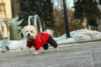 В Подмосковье зафиксированы морозы до минус 32 градусов