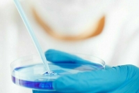 В России не зафиксировали случаи завоза западного энцефалита лошадей