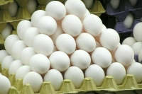 Турция поставила в Россию вторую партию из 316,8 тысячи яиц