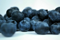 Траты ряда сельхозпроизводителей на закупку посадочных материалов ягод возместят