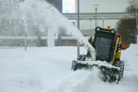 В Москву в середине следующей недели придет потепление