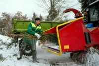 Бурматов считает, что необходимо создавать инфраструктуру утилизации елок